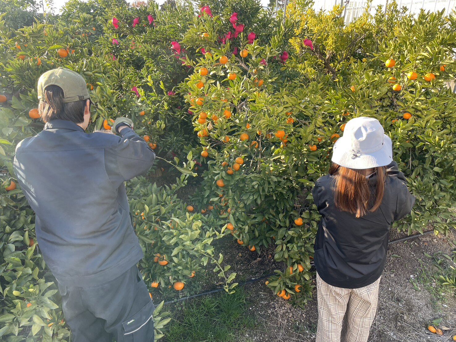 農業生産学コース