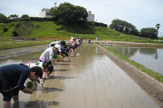 食料生産学科