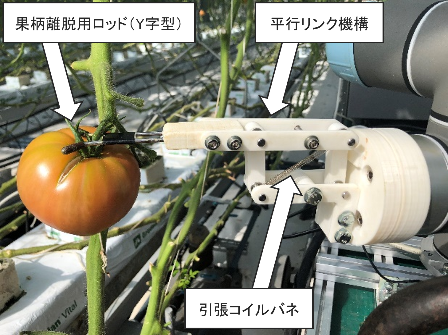 トマトの収穫用エンドエフェクタ