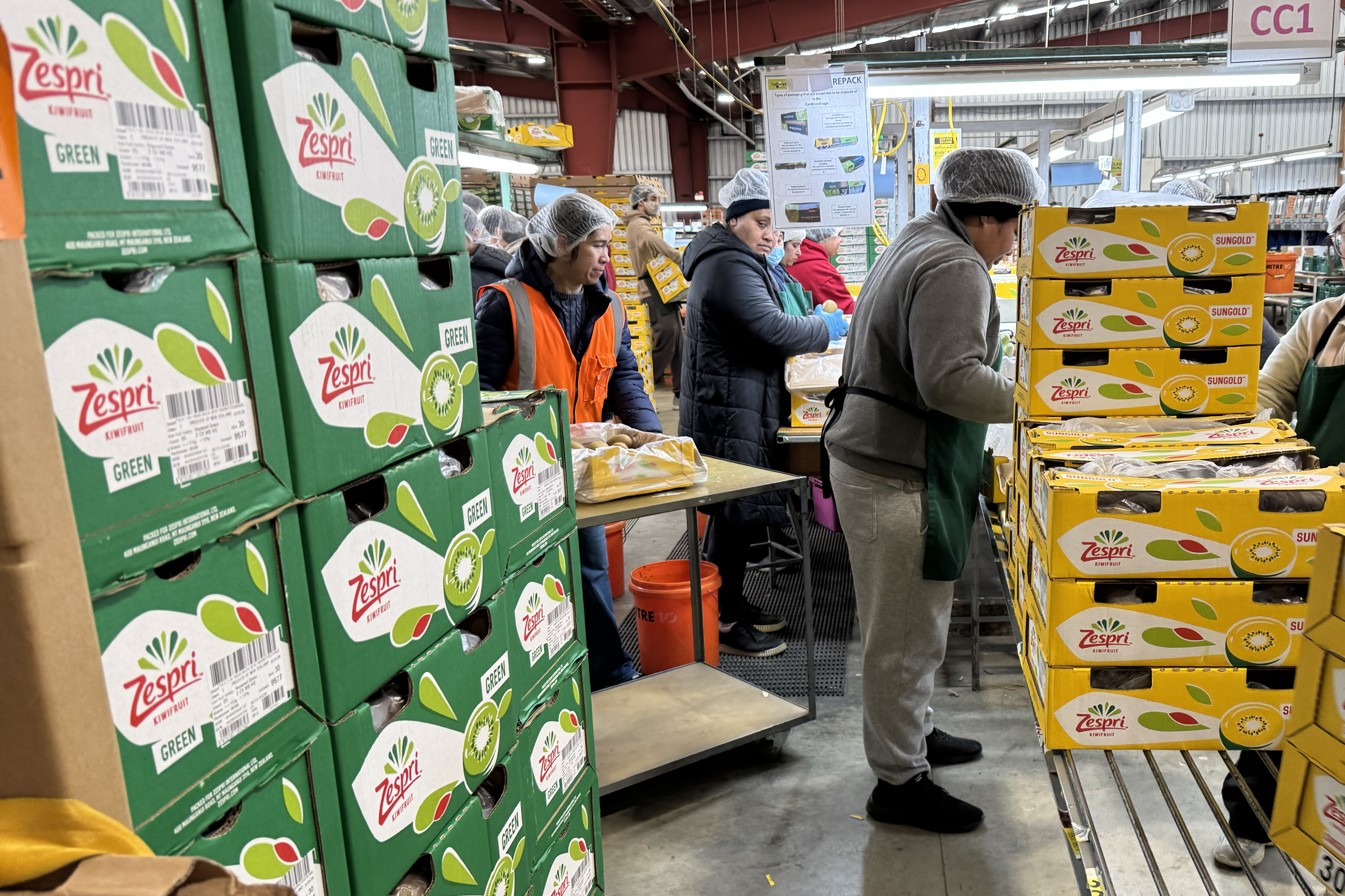 ニュージーランドのキウイフルーツ選果場