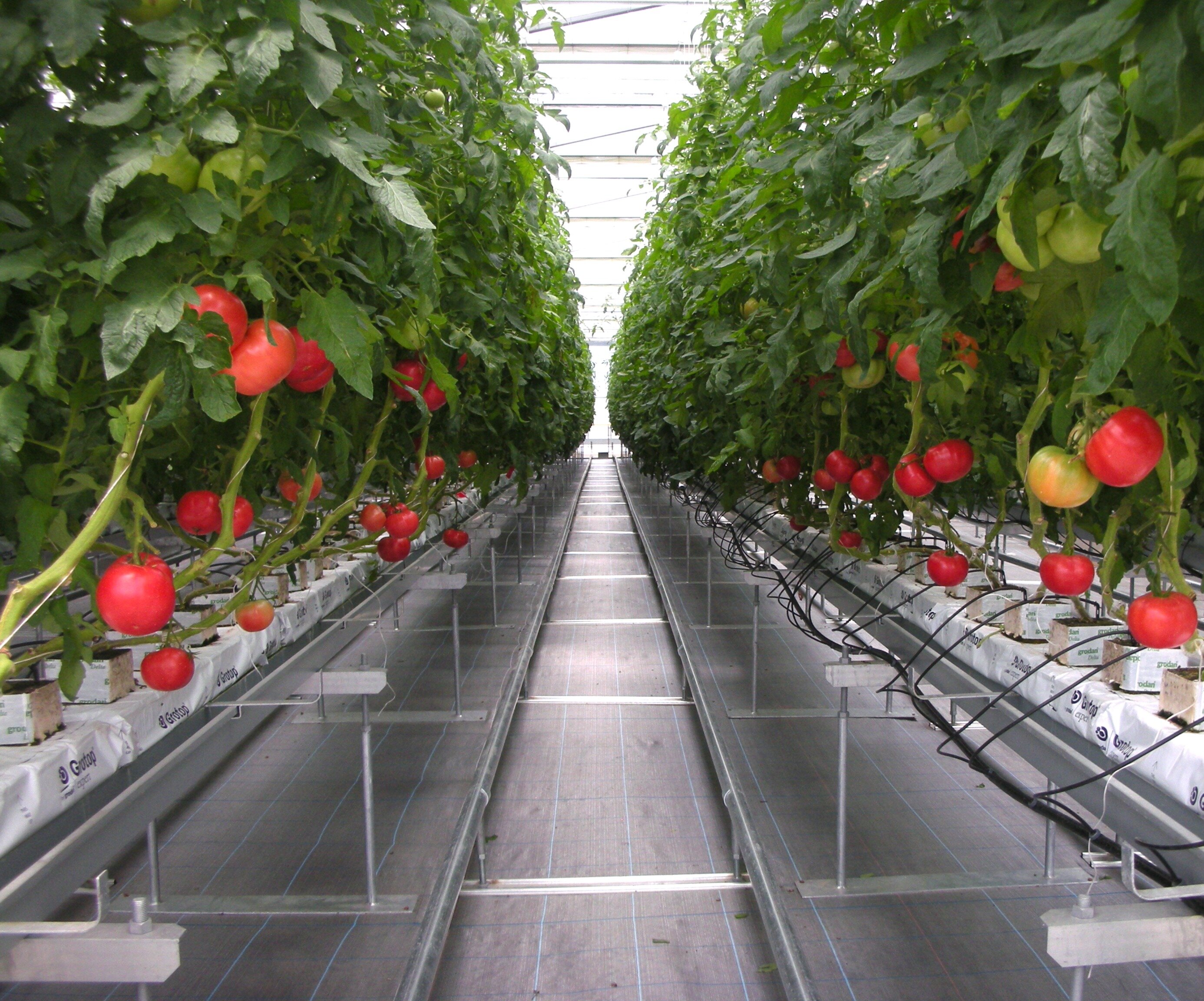 愛媛大学　先端農業R&Dセンター