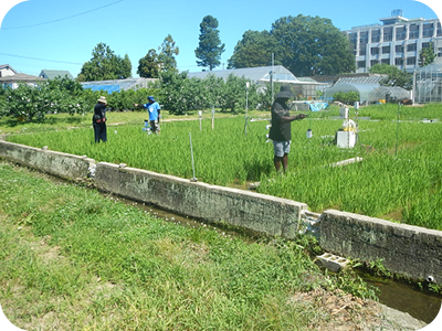 地域水文気象学
