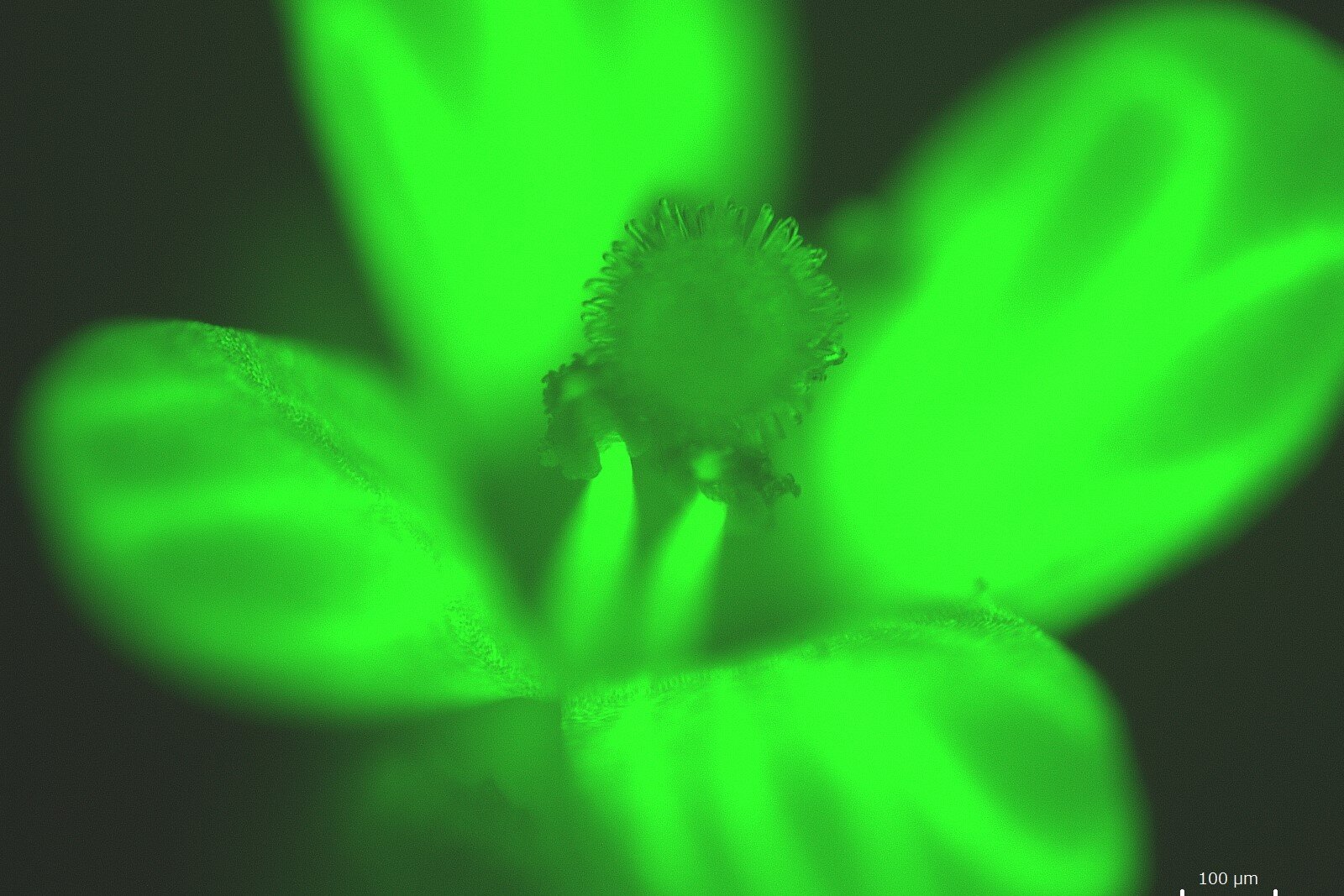 分子生物資源学
