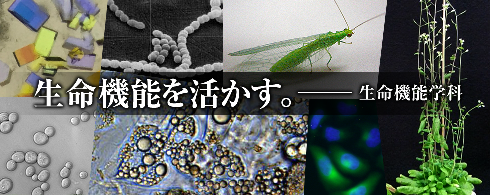 生命機能学科