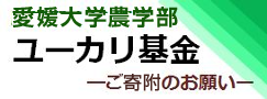 ユーカリ基金