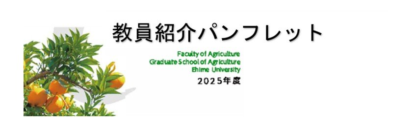 教員紹介パンフレット