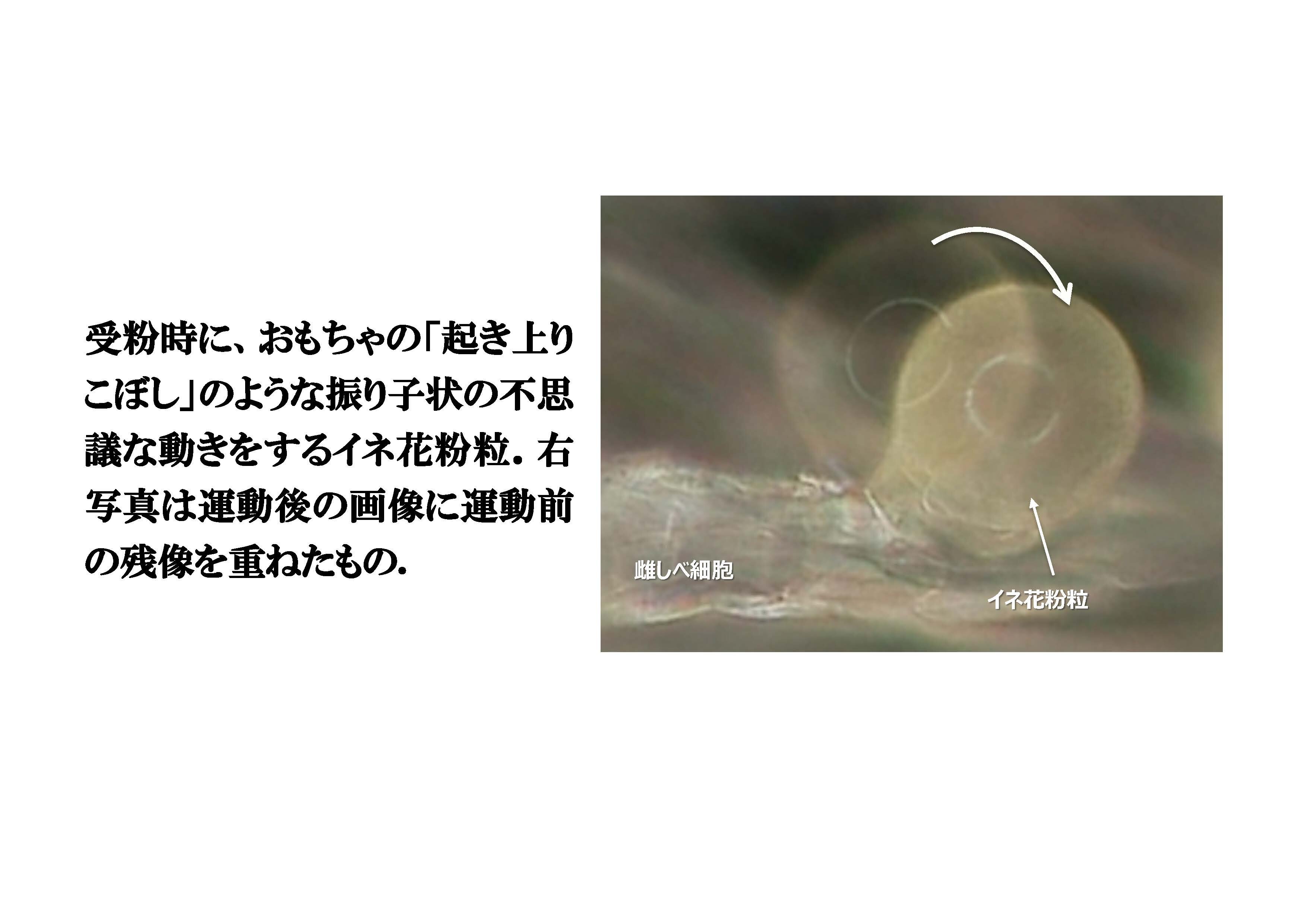 トピックス②.jpg