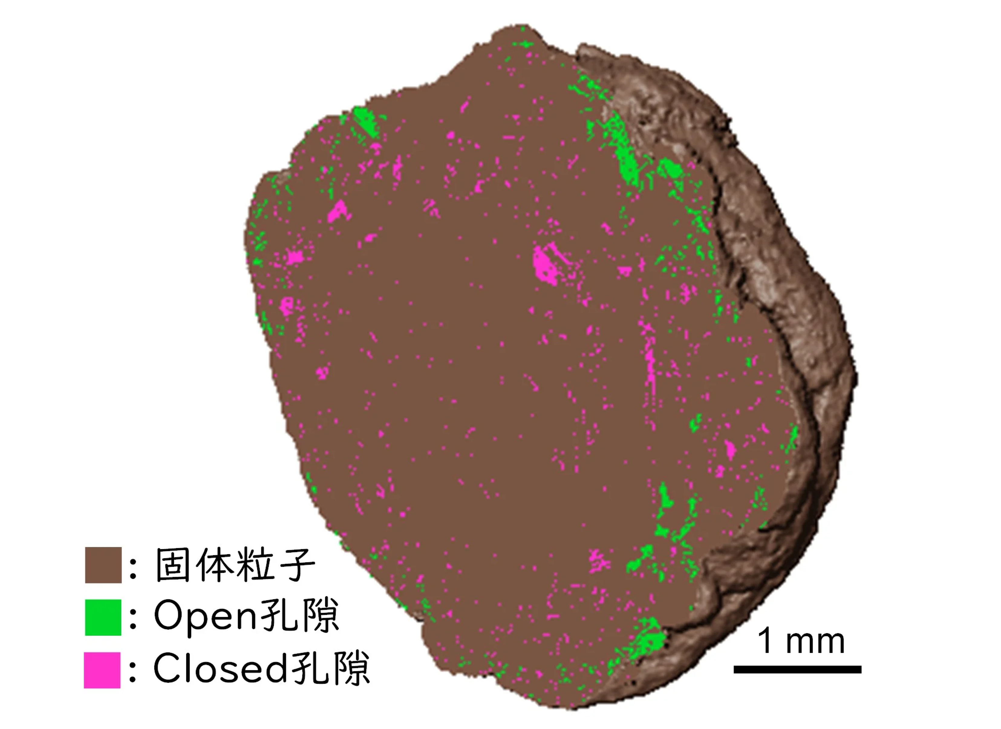 土壌団粒中の孔隙（黄色土）.png