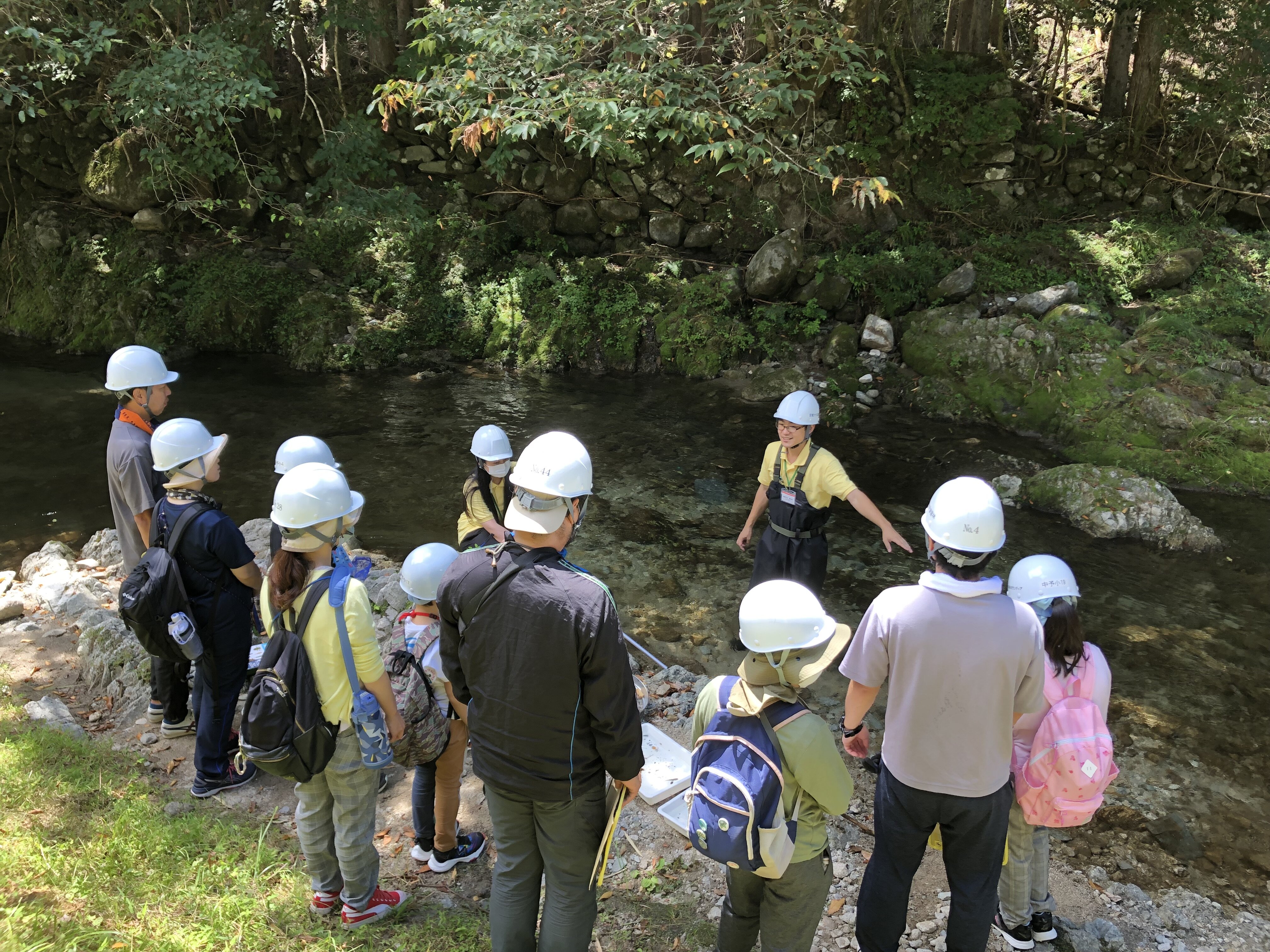 川の生物観察.JPG