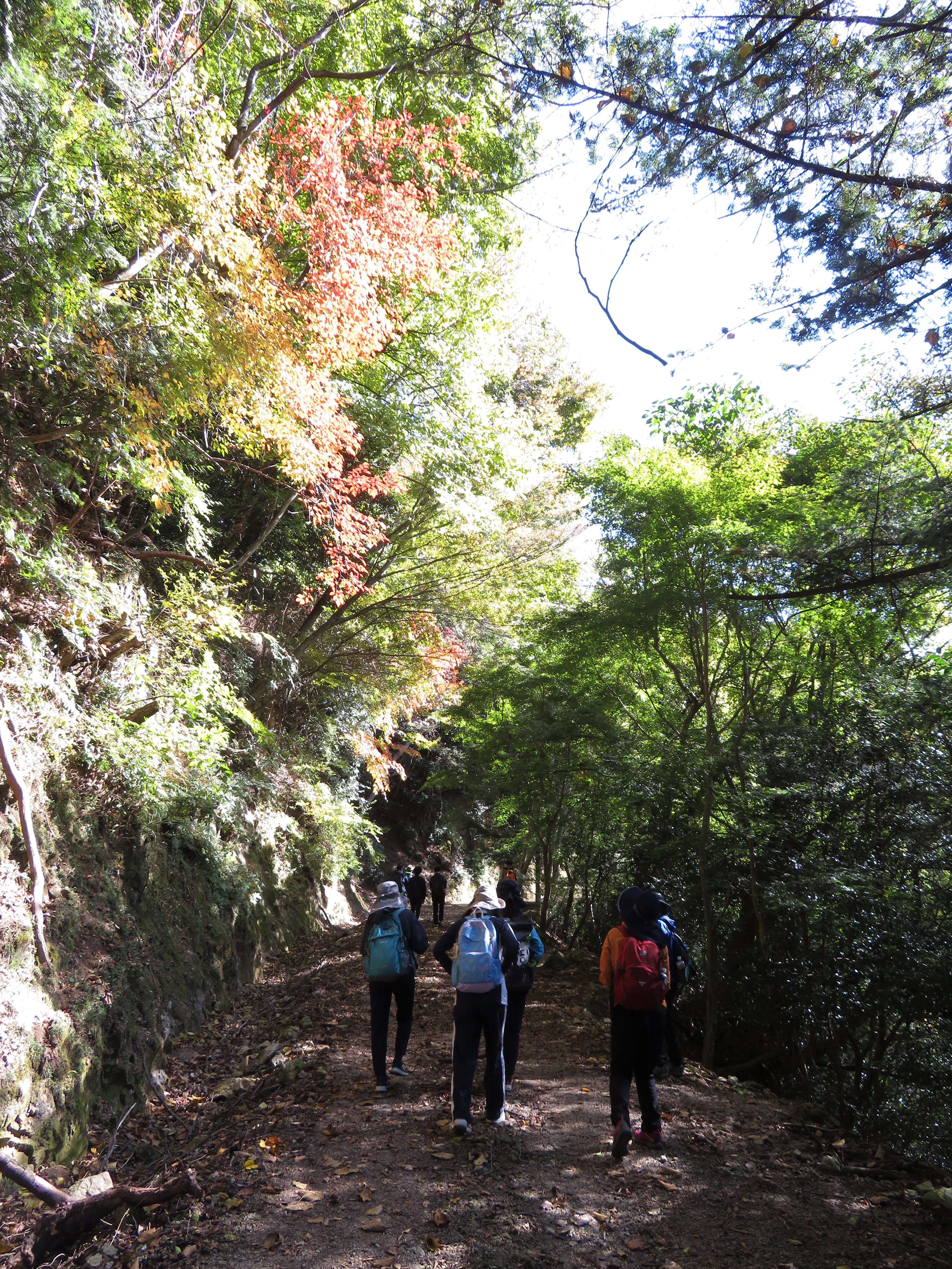 紅葉の様子(差し替え用).JPG