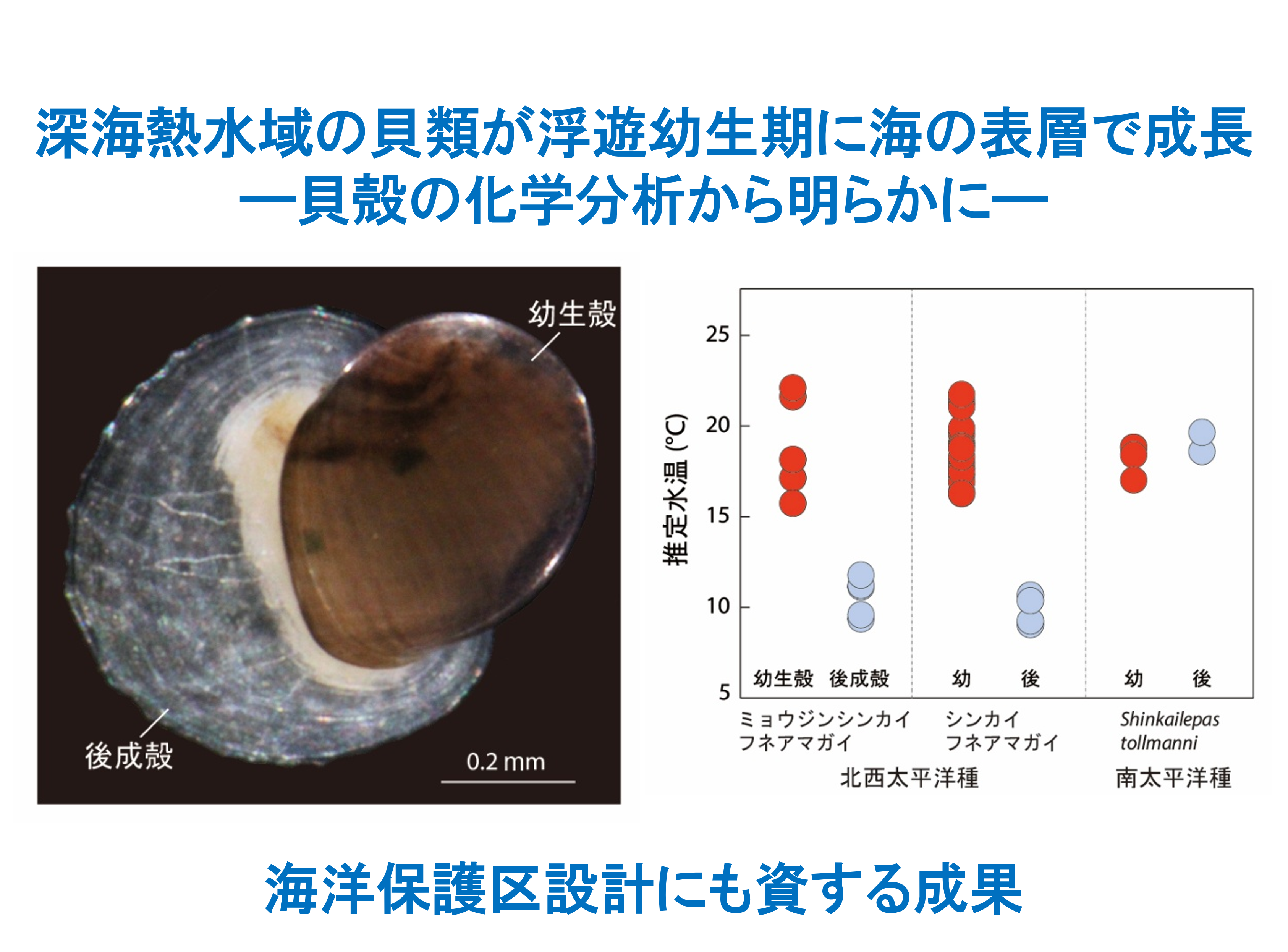 キャッチアップ画像_シンカイフネアマガイ.png