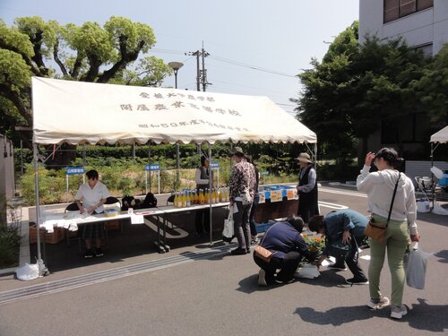 野菜販売写真.JPG