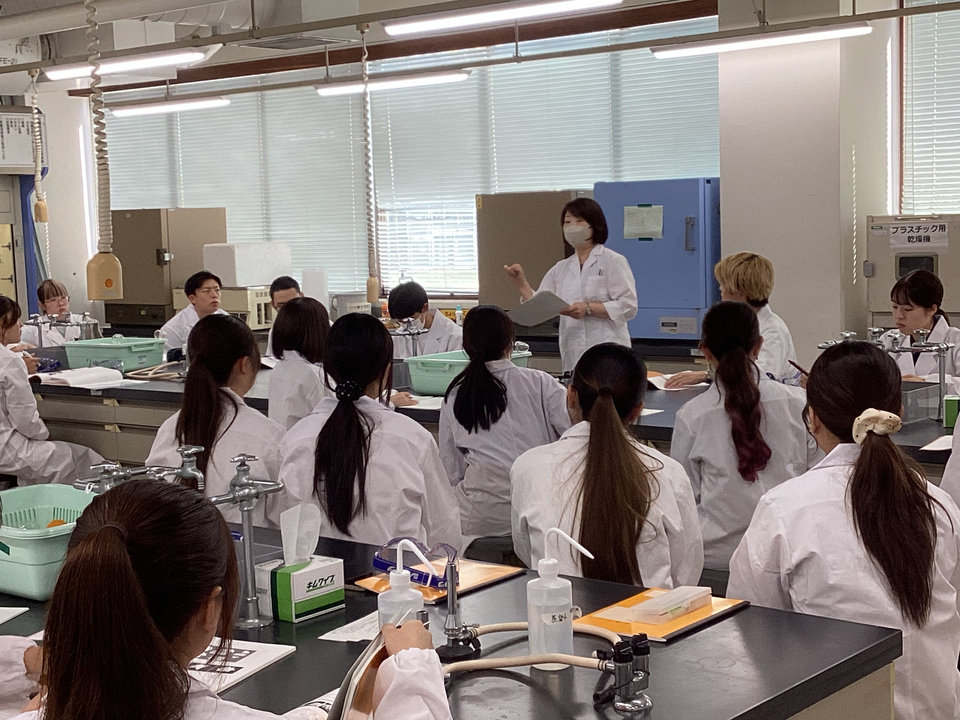 2025年 基礎実験奮闘中です