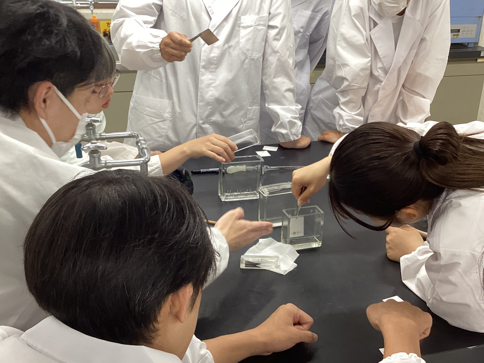 2025 基礎実験奮闘中です