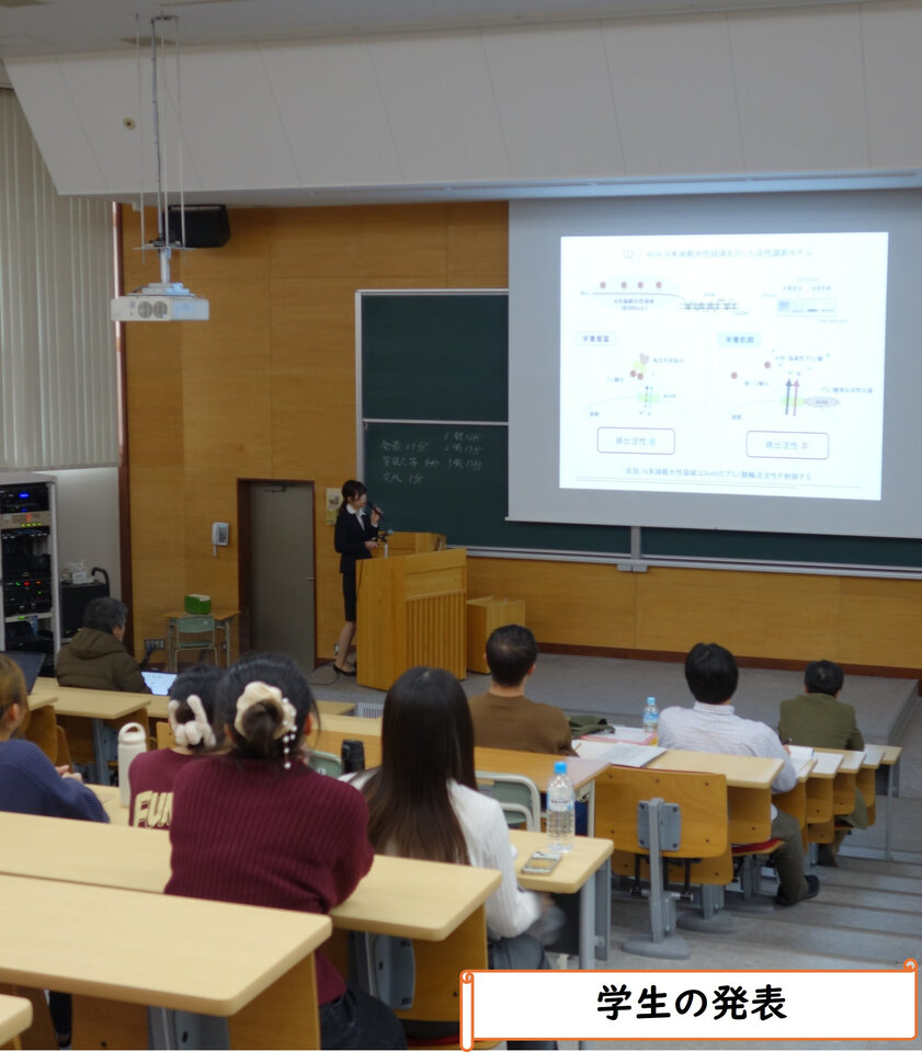 学生の発表
