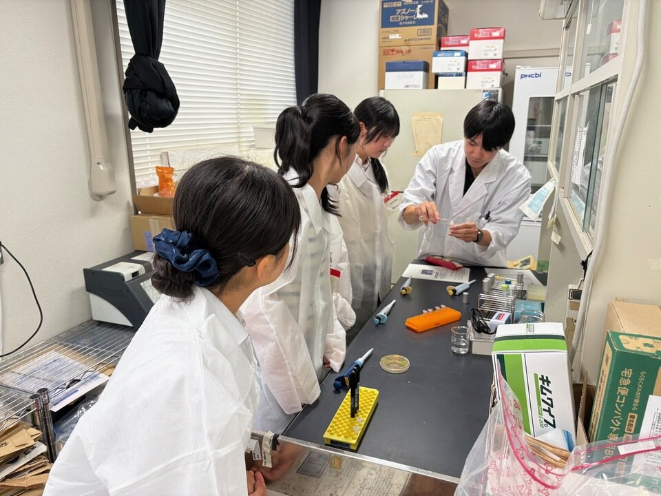 大学院生がまずお手本