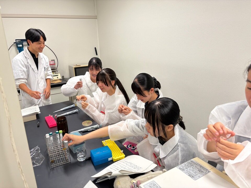 いよいよ実験開始です