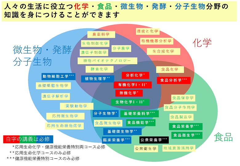 カリキュラムマップ