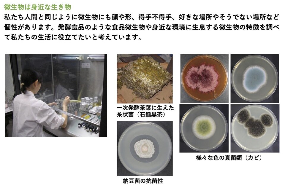 名称未設定.jpg